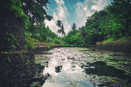 Body Of Water Surrounded By Trees photo