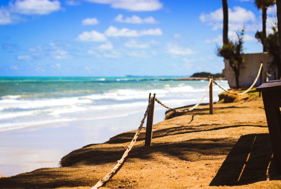 Wooden Posts Near Ocean Water