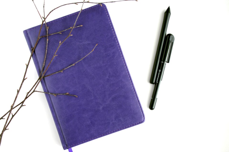 Purple Leather Notebook Black Pen And Brown Branches