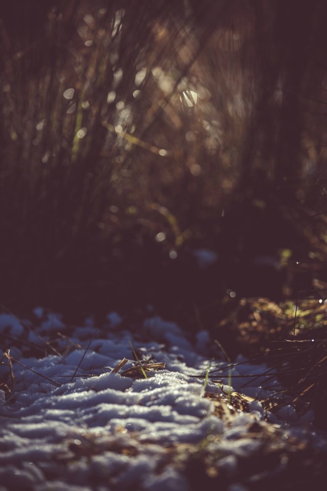 Snow On Ground