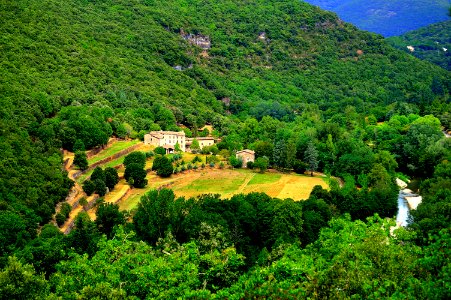 Birds Eye View Of Trees photo