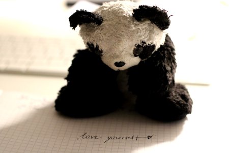 Panda Bear Plush Toy photo