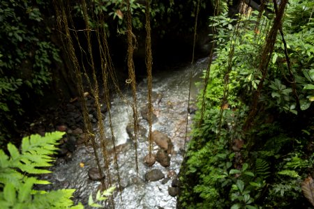 Photography Of River With Rocks