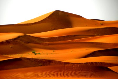 Egypt Desert photo