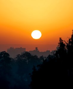 Silhouette Of Trees And Buildings During Sunset photo
