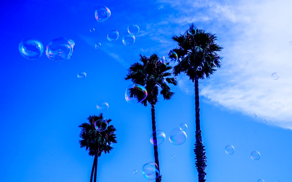 Three Palm Tree During Blue And White Cloudy Day