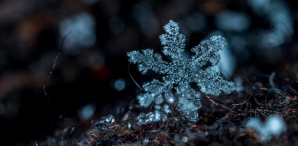 Macro Photography Of Snowflake photo
