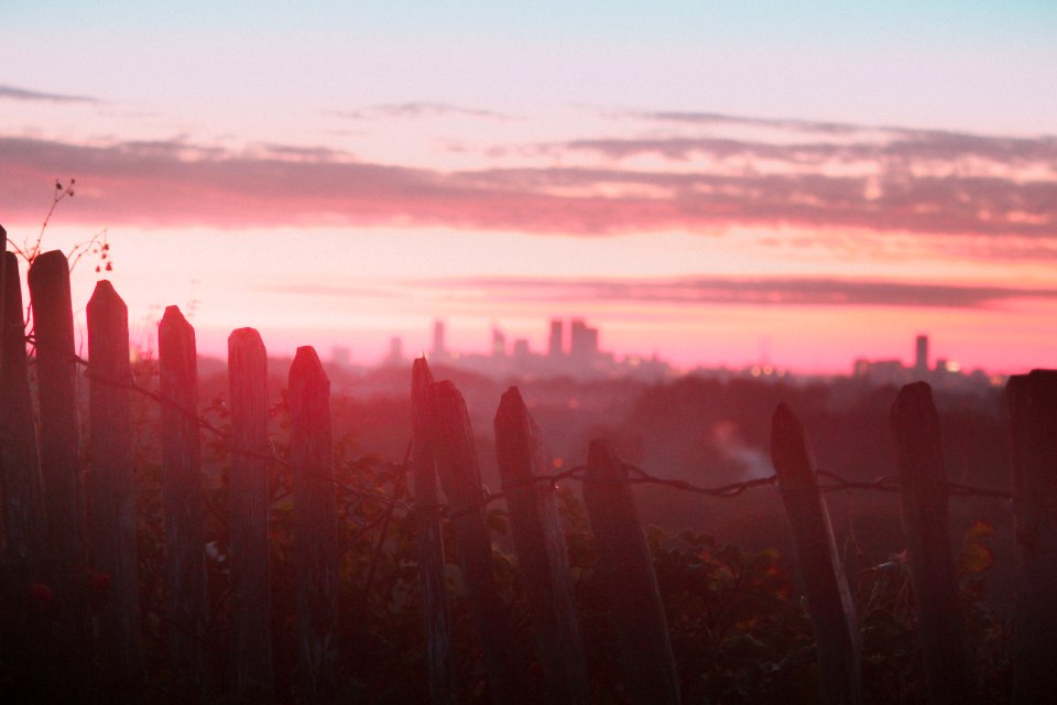 Photography Of White Wooden Fence During Sunset