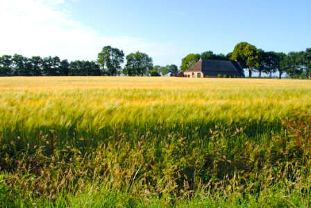 Photo Of Grass Field