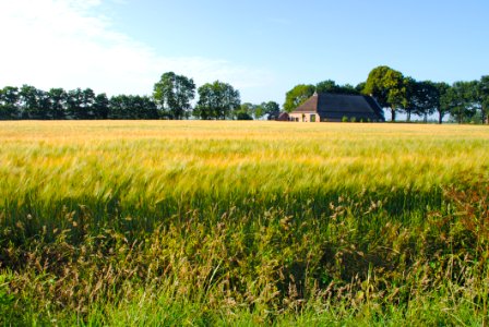 Photo Of Grass Field photo