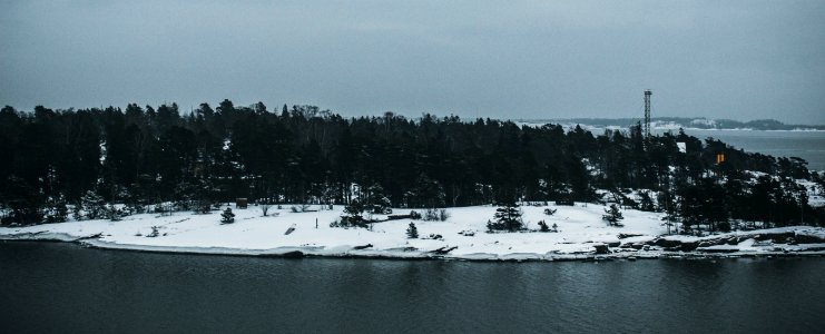 Photo Of Trees Near Body Of Water During Winter
