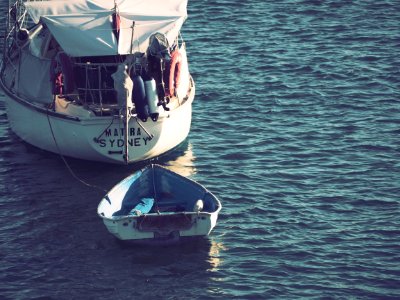 White Boat photo