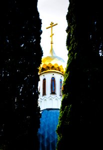 Photo Of The Church Between Two Plants