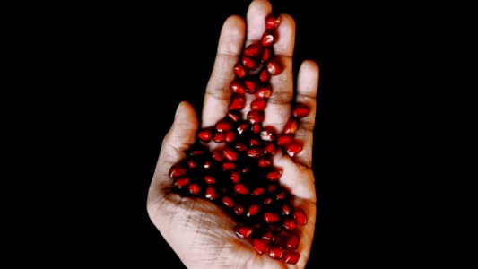 Pomegranate Seeds photo