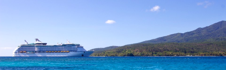 White Cruise Ship Near Island photo