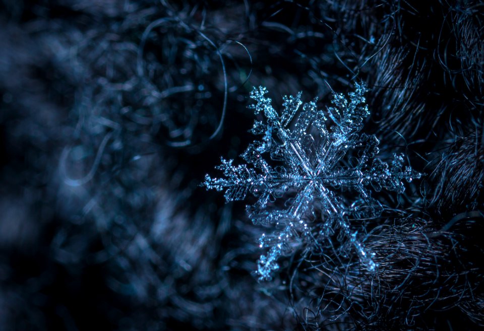 Macro Photography Of Snowflake
