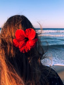 Photo Of A Woman With Hibiscus On Her Head Facing Towards The Sea photo