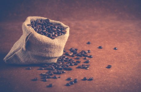 Coffee Beans On Gray Sack photo