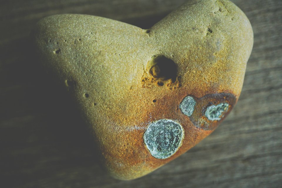 Beige Rock On Brown Wooden Surface