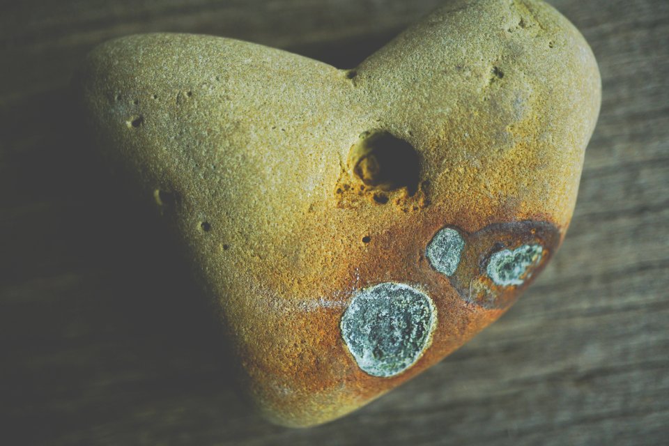 Beige Rock On Brown Wooden Surface photo