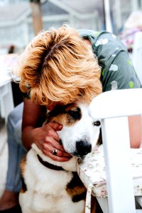 Boy In Gray Floral T-shirt Hugging White And Tan Dog