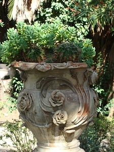 Urn pot greenery photo