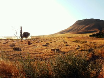 Brown Mountain And Brown Grass Field