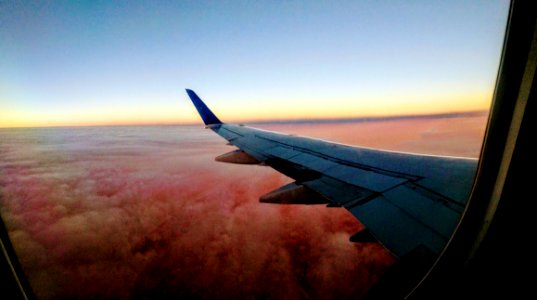 Aircraft Wing photo