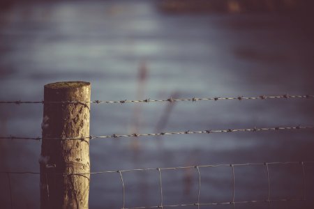 Selective Focus Photography Of Fence photo