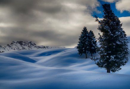 Time Lapse Photography Of Three Trees Covered With Snow photo