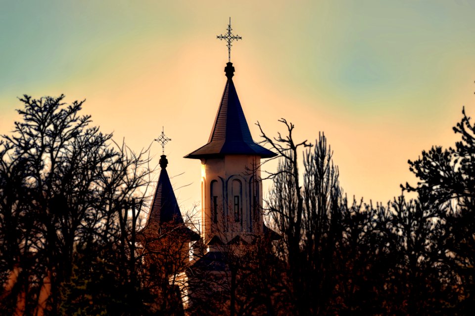 Brown Concrete Church Surrounded By Green Leaf Trees