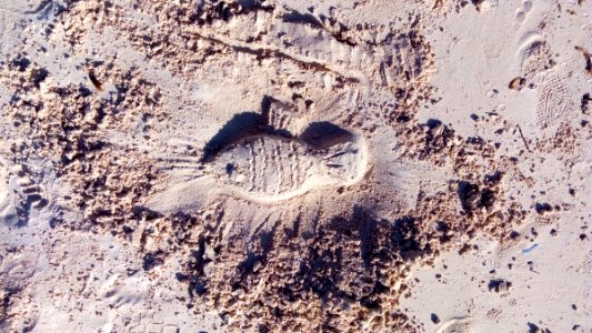 Foot Print On Sea Sand photo