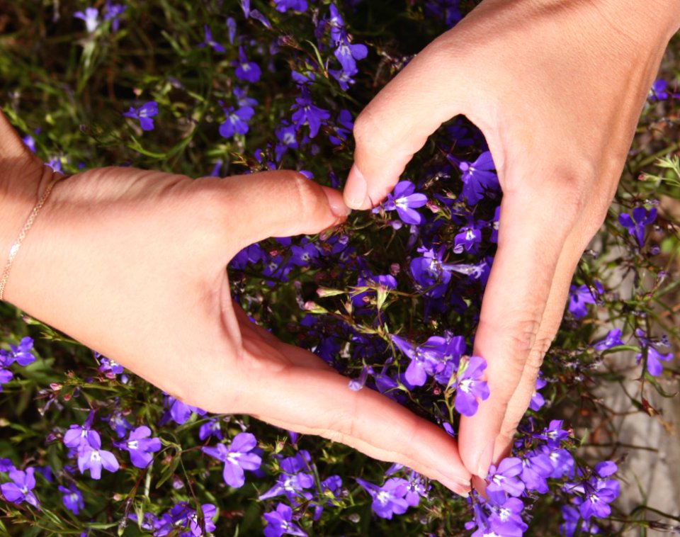 Heart Shape With Hand