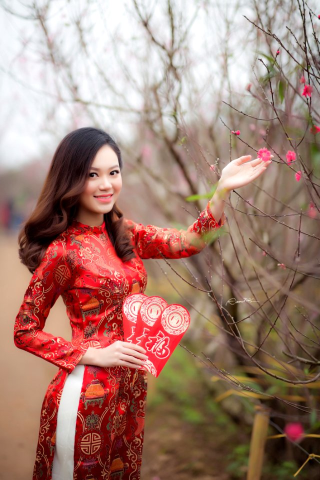 Woman Wearing Red Long-sleeved Dress Holding Pink Petaled Flower