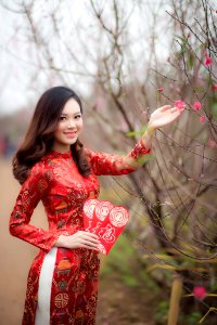 Woman Wearing Red Long-sleeved Dress Holding Pink Petaled Flower photo