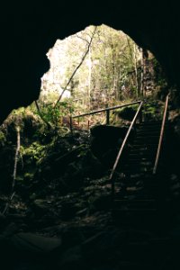 Brown Wooden Stairs photo