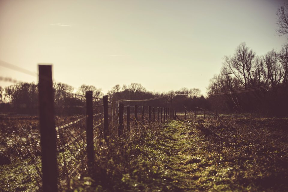 Silhouette Of Fence