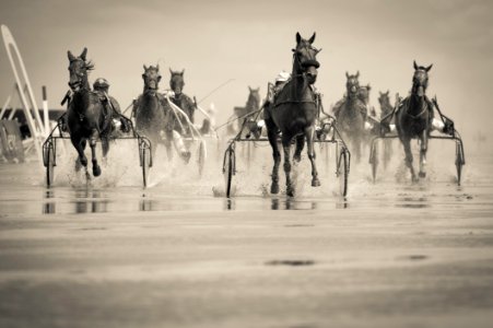 Grayscale Photo Of Group Of Horse With Carriage Running On Body Of Water photo