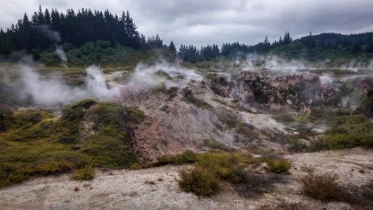 Green Grasses With Smokes And Green Trees