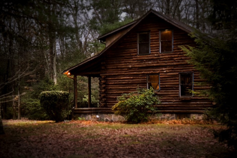 Brown Cabin In The Woods On Daytime