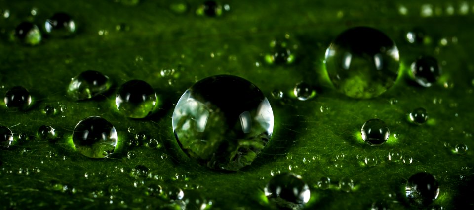 Macro Photography Of Waterdrops photo