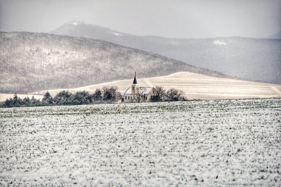 Snow Covered Field