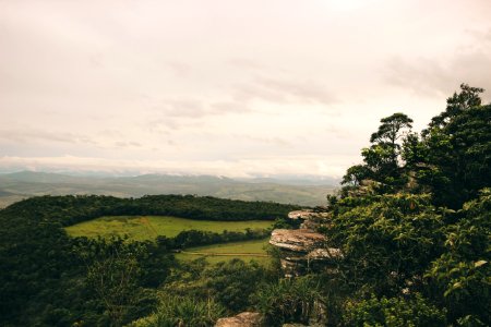 Landscape Photography Of A Green Forest With Mountains photo