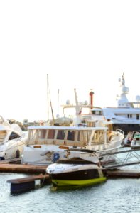 White Yacht Parked On Wooden Dock photo