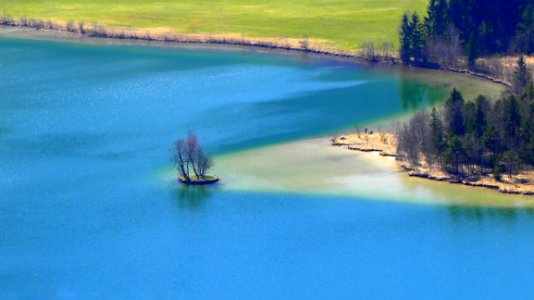 Areal View Of Body Of Water And Trees photo