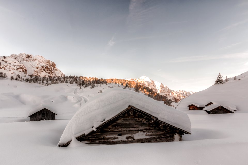 Brown Wooden Houses Covered In Snow At Daytime