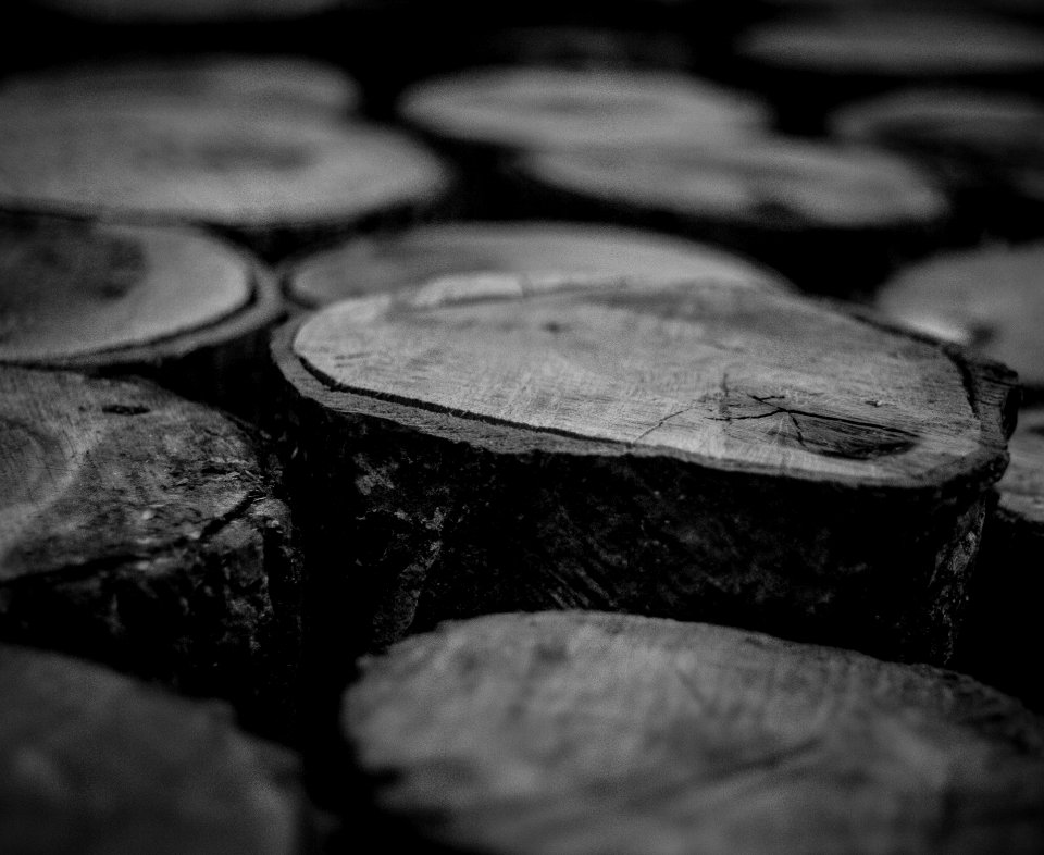 Grayscale Photo Of Wood Logs