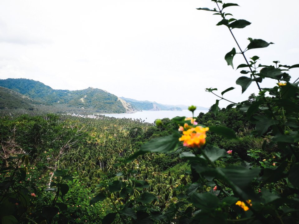 Scenic View Of Mountains