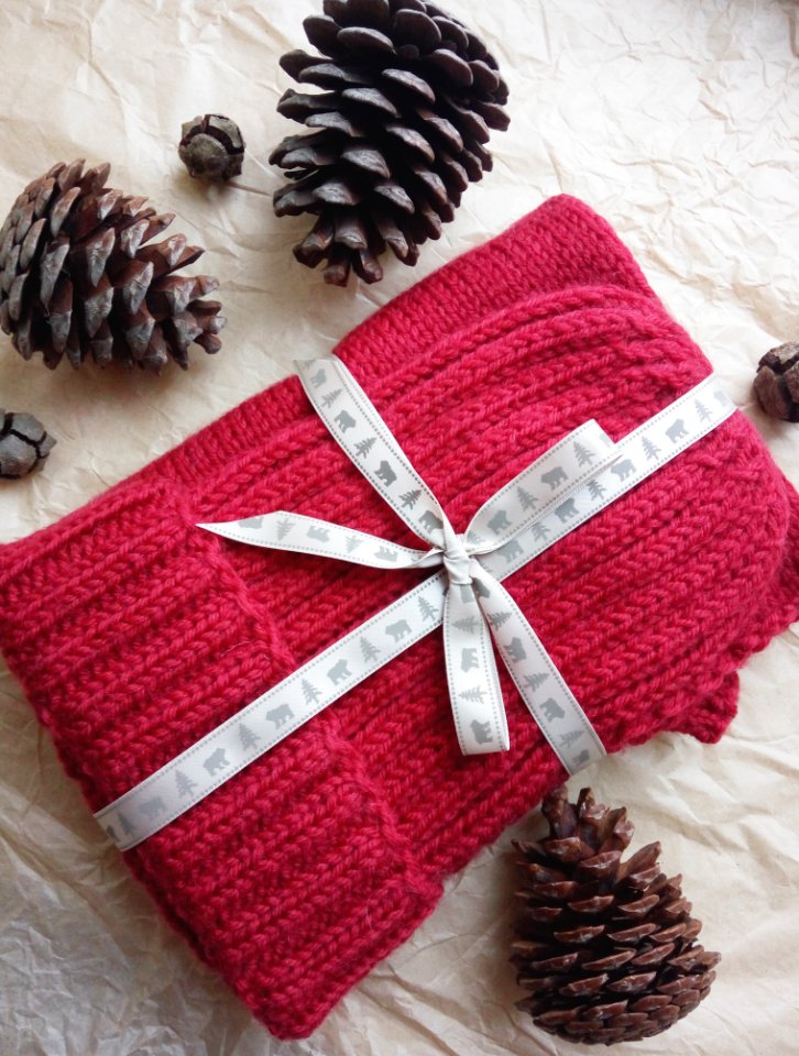 Red Knitted Textile And Three Black Pine Cones