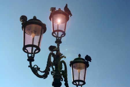 Black 3-light Post Lamp Under Blue Sky photo